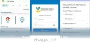 Cara Mudah Cek Bansos dan Desil DTSEN Online Hanya dengan NIK!