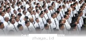 Hasil Seleksi CAT PPPK Kemenham 2026 Sudah Bisa Dilihat! Cek Sekarang Juga!